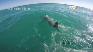 Efecto Pirry - Episodio 11 por Canal RED+