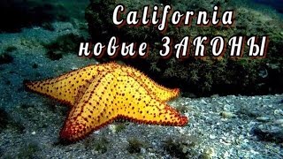 ? Новые ЗАКОНЫ в КАЛИФОРНИИ в 2017 году ✔ YouTube США Сан Диего