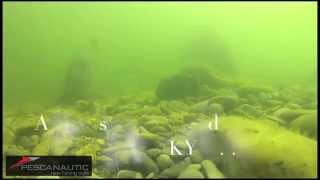 Vidéo sous marine avec le  MARUKYU CORN