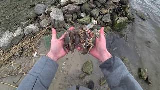 Ловля раков в Феврале  Сезон Открыт | catch crayfish