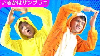 いるかはザンブラコ | みんなで歌って踊ろう！| こどものうた | ZUZU DO