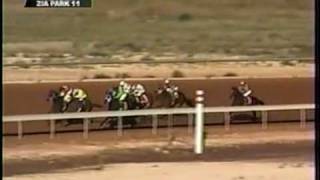 Incredible horse racing win