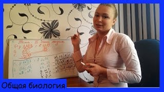 Урок биологии №24. Третий закон Менделя.
