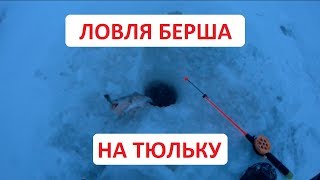 Глухозимье. Ловля берша на тюльку.