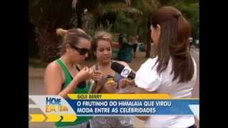 Goji Berry - Onde Comprar Goji Actives no Brasil?