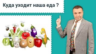 Почему человек худеет при голодании. Как организм расщепляет пищу. Интервальное голодание. 12+