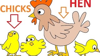 #54. The Little Red Hen and the Grain of Wheat - Маленькая рыжая курочка и зерно пшеницы