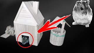Дом в деревне.  Как сделать дом для хомяка