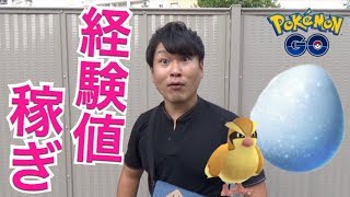 【ポケGO】天保山！ポッポマラソン以外のレベリングを考察【しあわせたまご】