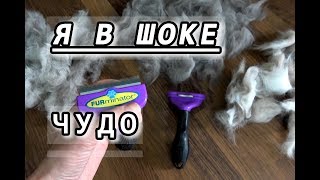 Что такое фурминатор для кошек и как он работает? ❤️ Испробовала новинку на своих домашних питомцах