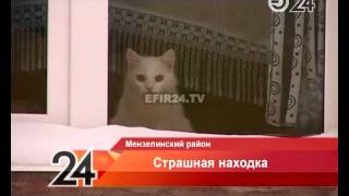 Парень, чей труп накануне найден в Мензелинске, оказался воспитанником детского дома