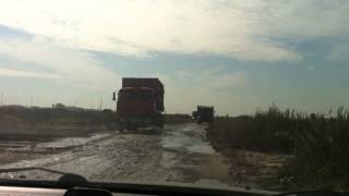 МОО "Зеленый фронт": выезд на свалку в д. Шушары