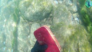 Şanslı altın avcısı / Kanal fragmanı