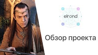 Обзор проекта: Elrond. Дар божий или проделки сатаны.
