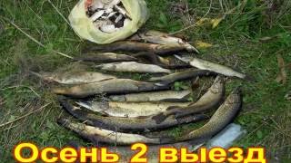 Осень 1 Снасточка с мёртвой рыбкой на щуку