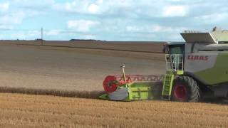 CLAAS LEXION 770   CLAAS XERION 5000 & XERION 3800   big harvest 100% Claas