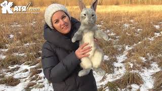 Кролик игрушка