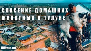 В Тулуне спасают домашних животных || ПАВОДКИ 2019 || ПАВОДКИ В ИРКУТСКОЙ ОБЛАСТИ