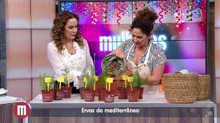 Saiba quem são as ervas do Mediterrâneo com Silvia Jeha