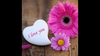 For You With Love,  Peace