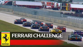 Ferrari Challenge North America – Sebring 2020, Coppa Shell AM Race 2