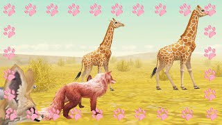 Играем на дикой лисичке от Wild Club в WildCraft