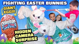 FIGHTING EASTER BUNNIES CAUGHT! Hidden Camera Battle! Giant Kids Surprise Egg (Skylanders Trap Team)