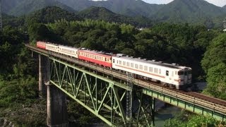 JR紀勢本線 熊野大花火大会臨時輸送 (2012.8.17)