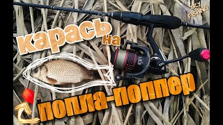 КАРАСЬ на попла-поппер!