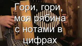 Гори,гори, моя рябина с нотами в цифрах