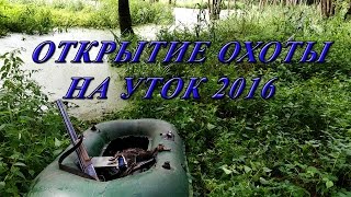 Открытие охоты на уток 2016. Трудовой трофей! начало приключений.