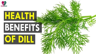 Health Benefits Of Dill - Health Sutra - Best Health Tips