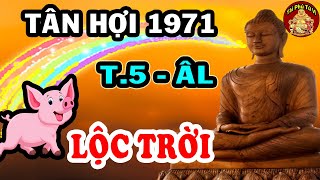 Tử Vi Tháng 5 ÂL Tân Hợi 1971 Đón Vận May TÀI LỘC, GIÀU NHANH Chóng Mặt
