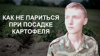 ПРОСТОЙ, БЫСТРЫЙ и НАДЁЖНЫЙ способ посадки картофеля. Как ПОСАДИТЬ картошку без КОПКИ