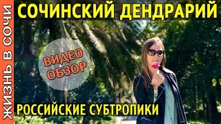 ДЕНДРАРИЙ СОЧИ  ● РОССИЙСКИЕ СУБТРОПИКИ ● ВИДЕО ОБЗОР