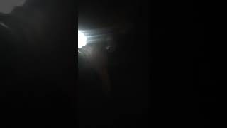 Silvio pirarara pesqueiro castelinho .Pirarara de 38 kilos