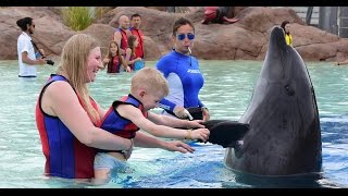 Dolphin Swim - The Land of Legends Theme Park Turkey, Belek 2017