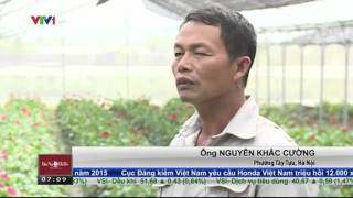 Trồng rau sạch áp dụng công nghệ nhà kính nông nghiệp Nhật Bản