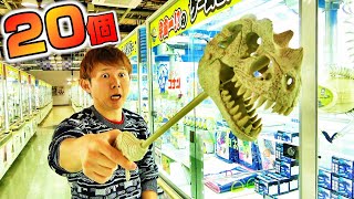 閉店1時間前【20個とるまで終われません】UFOキャッチャー2019最後！！