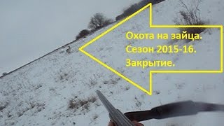 Охота на зайца. Закрытие сезона