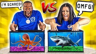 WHAT'S IN THE BOX CHALLENGE - UNDERWATER OCEAN ANIMALS
