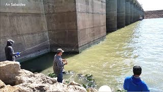 Crappie Fishing Catching JUMBO SLABS From The Bank. Part 2 EP 51