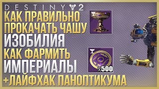 Destiny 2 КАК КАЧАТЬ ЧАШУ❗ ФАРМ ИМПЕРИАЛОВ❗ ЛАЙФХАК ПАНОПТИКУМА❗