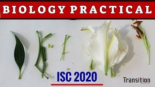 ISC 2020 Biology Practical Important Suggestions I ISC 2020 Biology Suggestions I ISC Biology