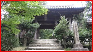 VIAJE ÉPICO AL MONTE SHOSHA, TOUR COMPLETO ★ Mustangcillo en Japón