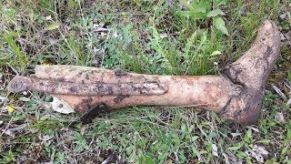 Страшная находка! Нашел в овраге.....