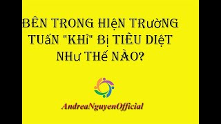 Bên trong hiện trường Tuấn "khỉ" bị tiêu diệt như thế nào? #TuấnKhỉ #tuấnkhỉbịtiêudiệt