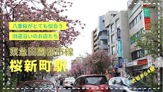 桜新町ってこんな所！春には八重桜が満開に！【J's movie】東急田園都市線 桜新町駅 周辺のご紹介！