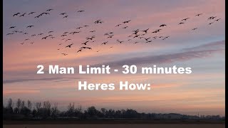Goose Hunting: Opening Day Tips!