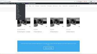 Woo Layout Injector 3+ Walkthrough
